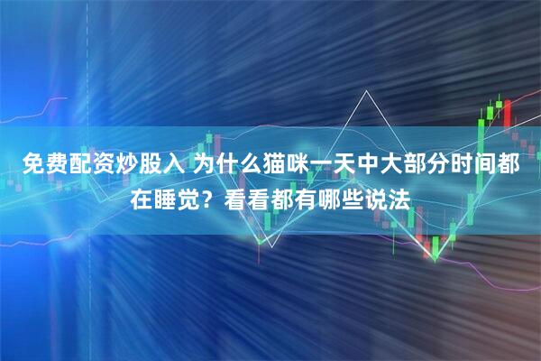 免费配资炒股入 为什么猫咪一天中大部分时间都在睡觉？看看都有哪些说法