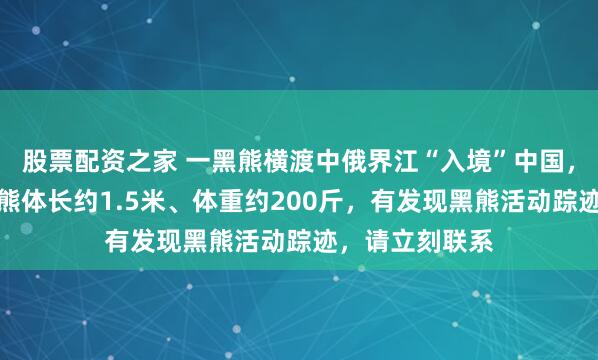 股票配资之家 一黑熊横渡中俄界江“入境”中国，边境民警：黑熊体长约1.5米、体重约200斤，有发现黑熊活动踪迹，请立刻联系